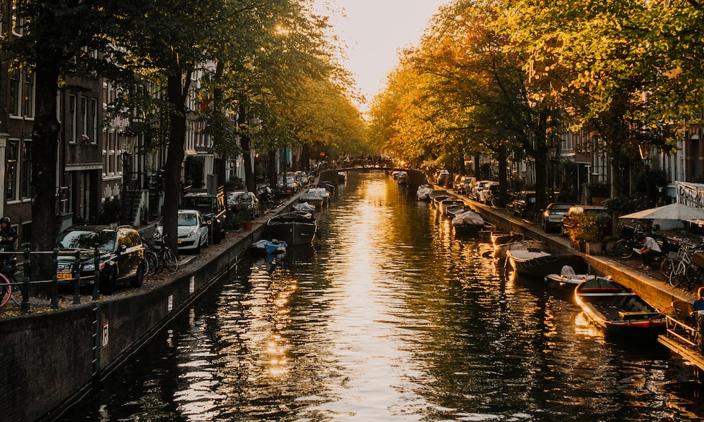 Amsterdam`s Quantum Computing Breakthrough